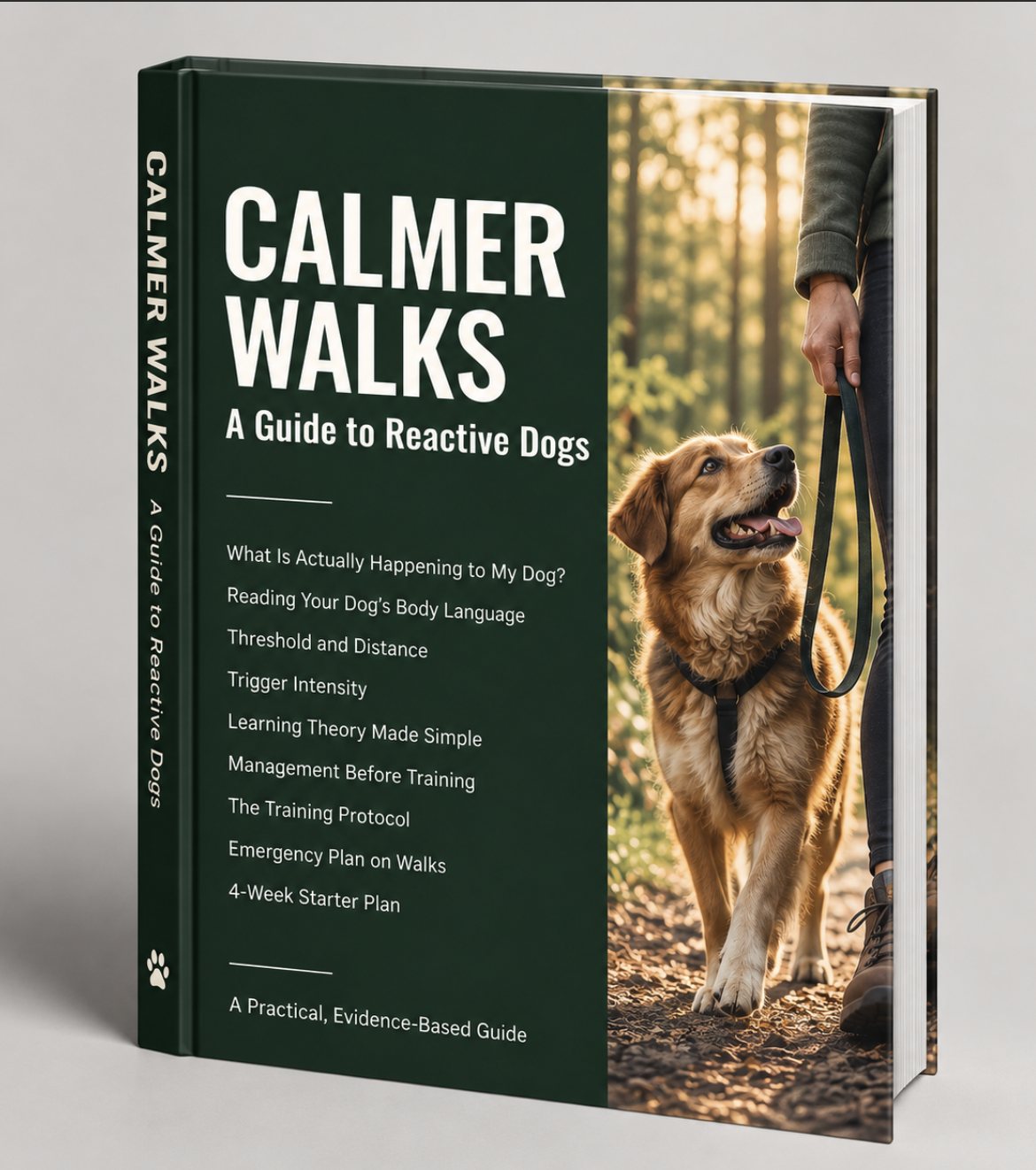 Calmer Walks — A Guide to Reactive Dogs, book cover