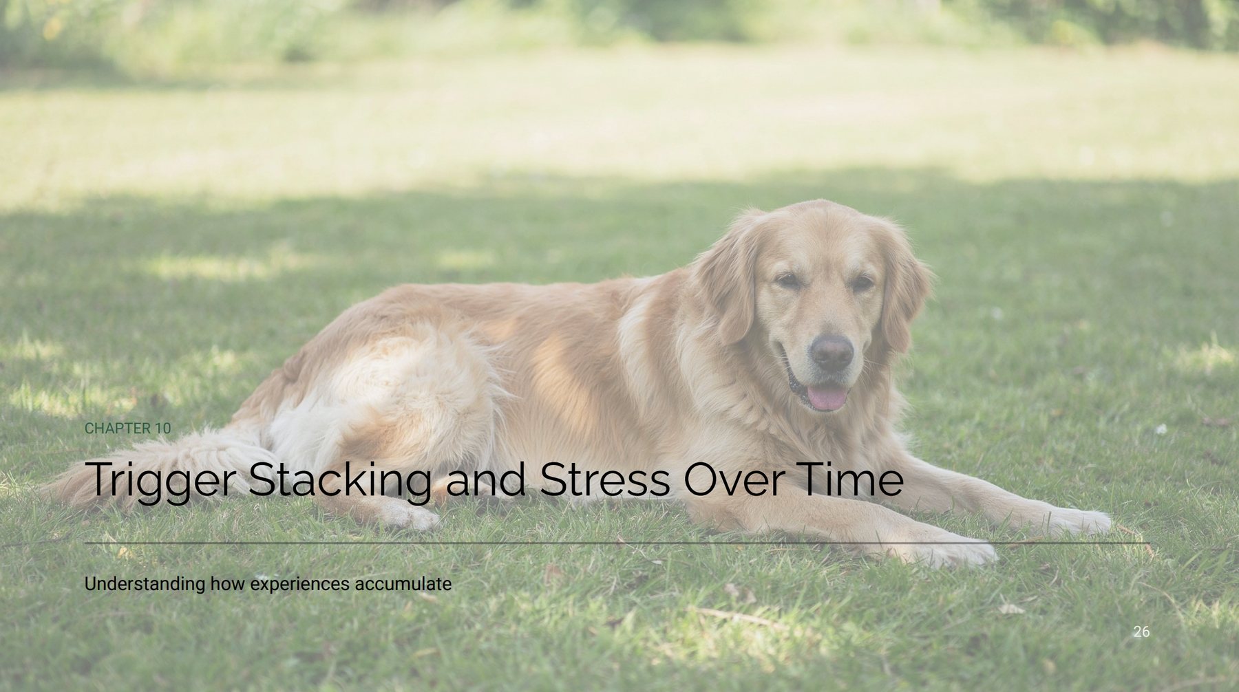 A real chapter page from Calmer Walks, Chapter 10: Trigger Stacking and Stress Over Time